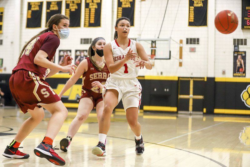 Neshannock's Haggerty earns first-team all-state, teammate Nogay is second team; Mohawk's Julian is second team